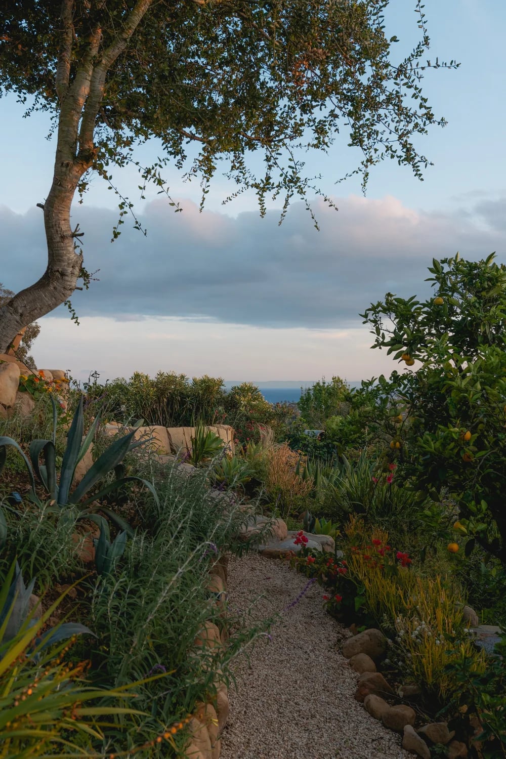 La Vista Grande, property photograph 61